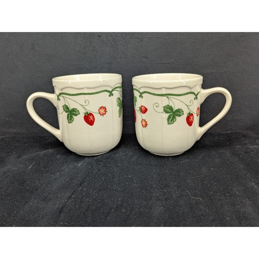 RARE Hard To Find Farberware Strawberry Field Coffee Mugs Set 2 Stoneware Vtg